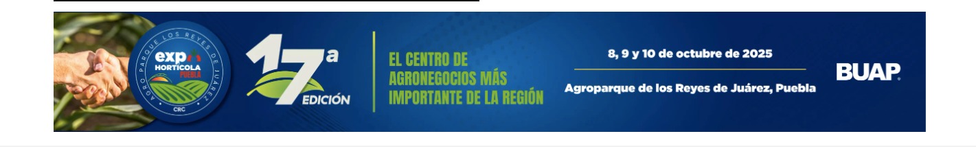 buap2
