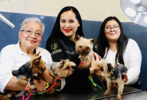 Inaugura Sandra Cuevas veterinaria pública para animales de compañía
