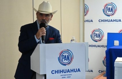 Gustavo Madero, PAN