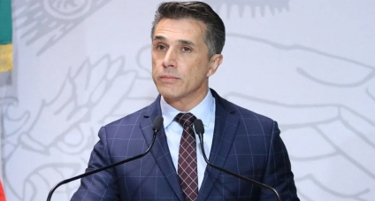 Sergio Mayer, diputado