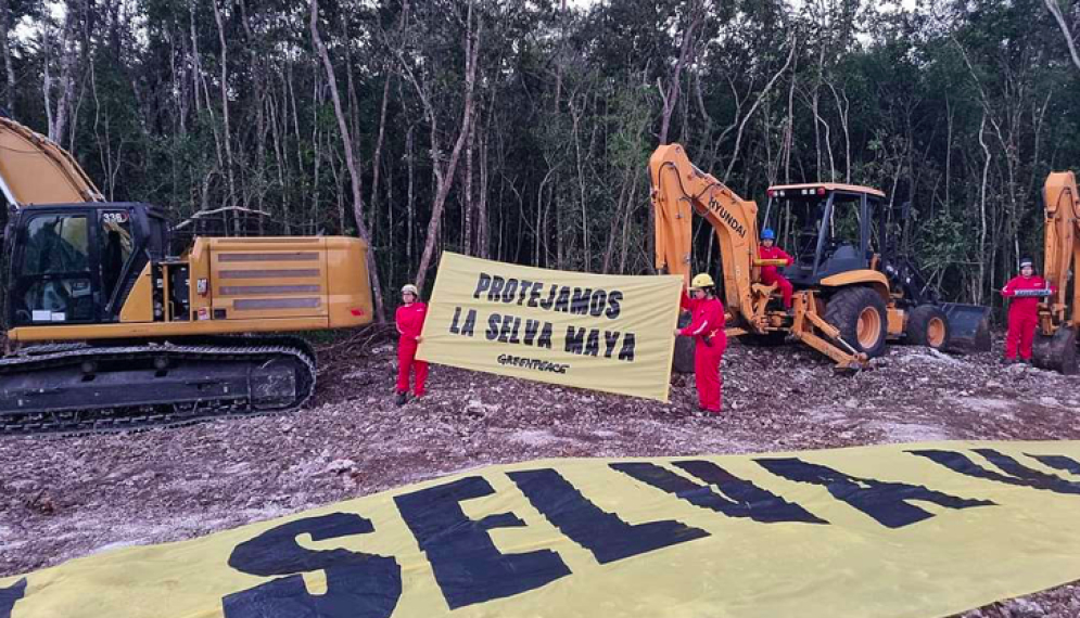 Greenpeace festeja suspensión de obras del Tren Maya en el tramo 5