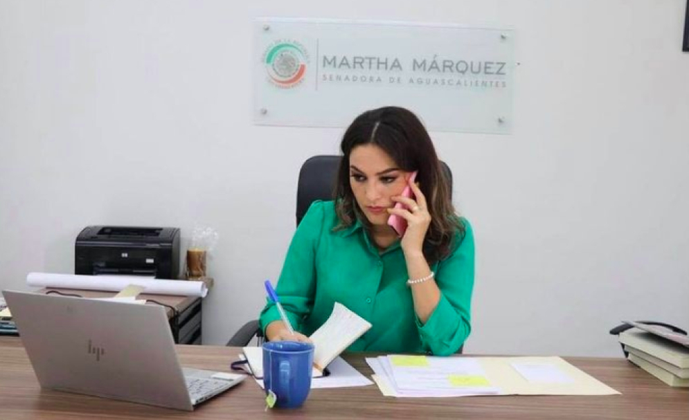 Senadora que traicionó al PAN sería la candidata del PT-Partido Verde al gobierno de Aguascalientes