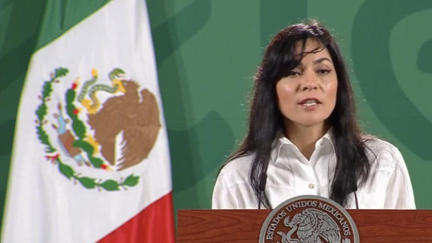 Relator de la CIDH pide a AMLO suspender "Quién es quién en las mentiras" por violencia contra periodistas