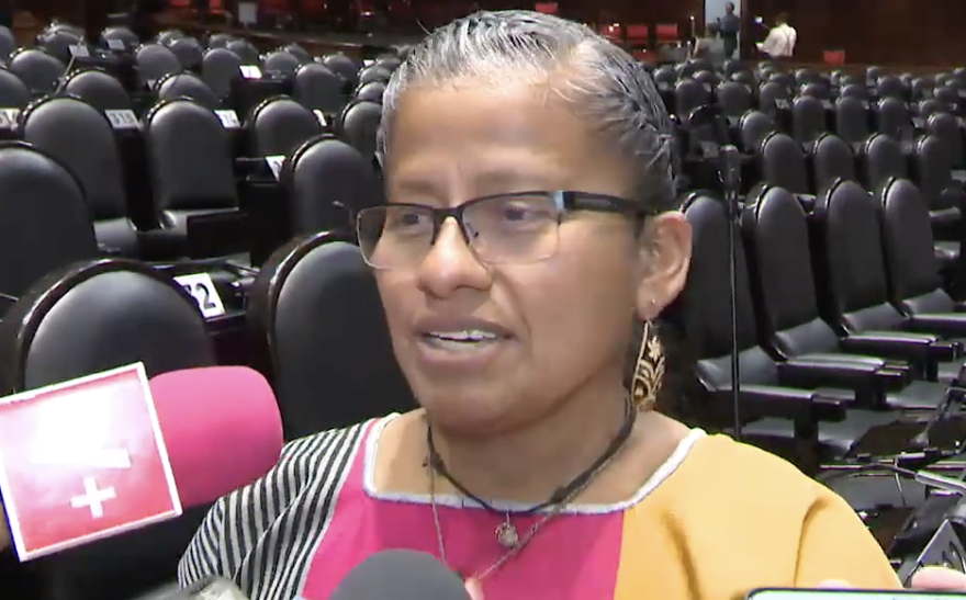 Diputada de Morena revela molestia contra Ariadna Montiel: “que se nos permita ser canal entre ciudadanos y Bienestar”, dice