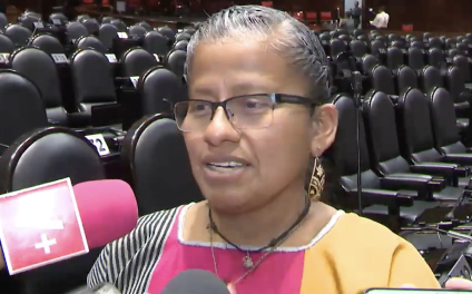 Diputada de Morena revela molestia contra Ariadna Montiel: “que se nos permita ser canal entre ciudadanos y Bienestar”, dice