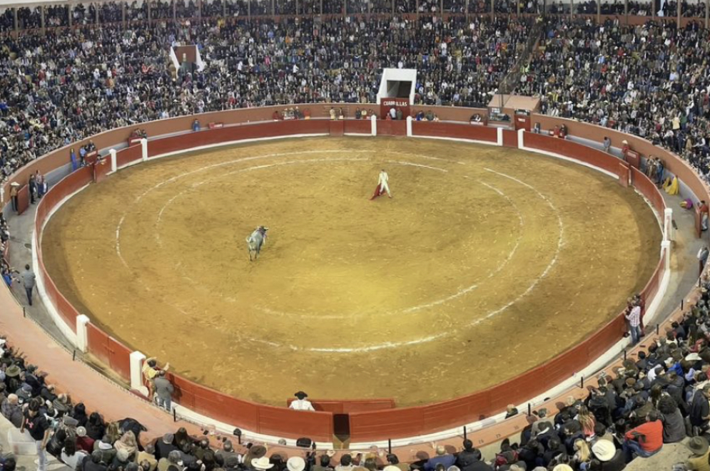 Tauromaquia mexicana celebra la decisión de la SCJN que reconoce la libertad cultural de la niñez y juventud