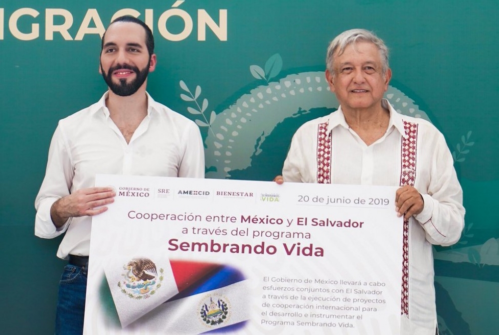 Nayib Bukele y AMLO