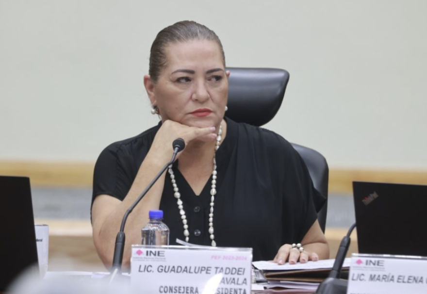 Taddei asegura que mexicanos podrán ejercer su voto en libertad el próximo 2 de junio