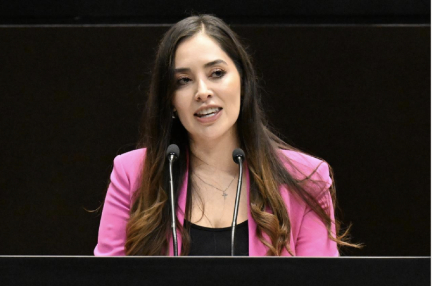 PRI busca crear padrón nacional de violentadores de animales