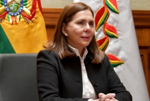 Karen Longaric