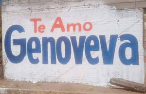 Aparecen bardas de apoyo a Genoveva Huerta en el estado