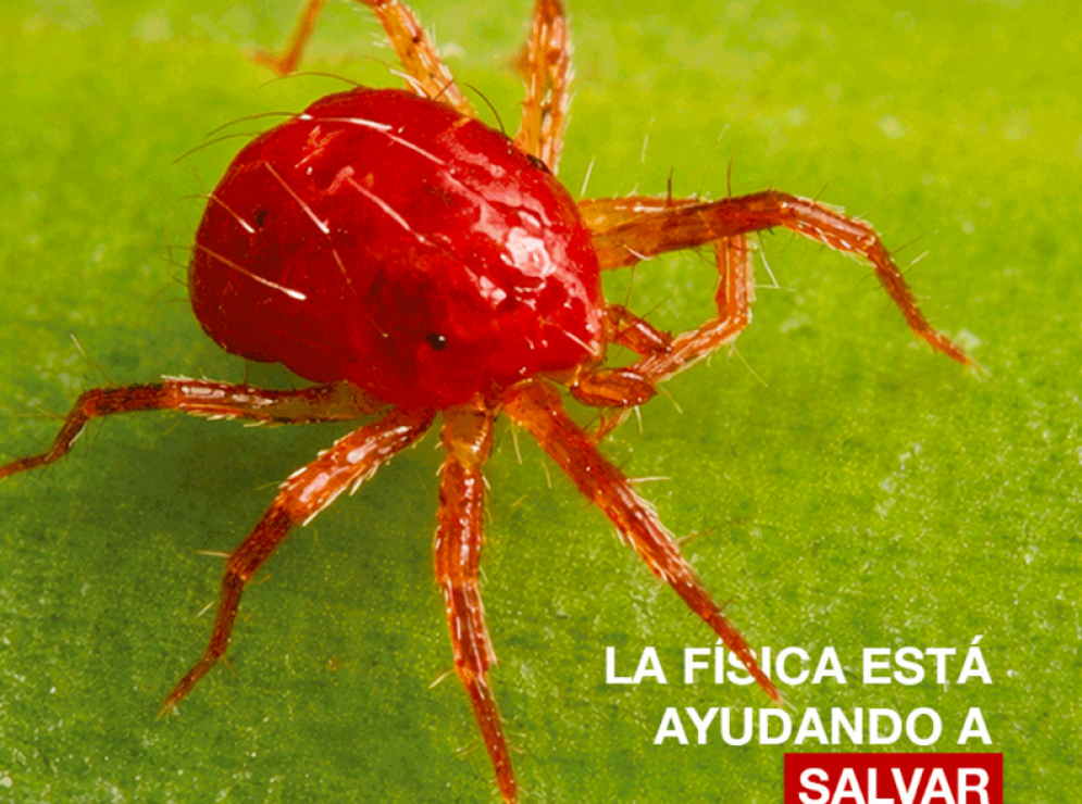 Proponen en la BUAP utilizar la Física para proteger cultivos prioritarios