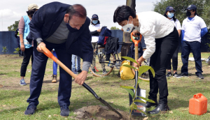 Lilia Cedillo encabeza jornada simultánea de reforestación