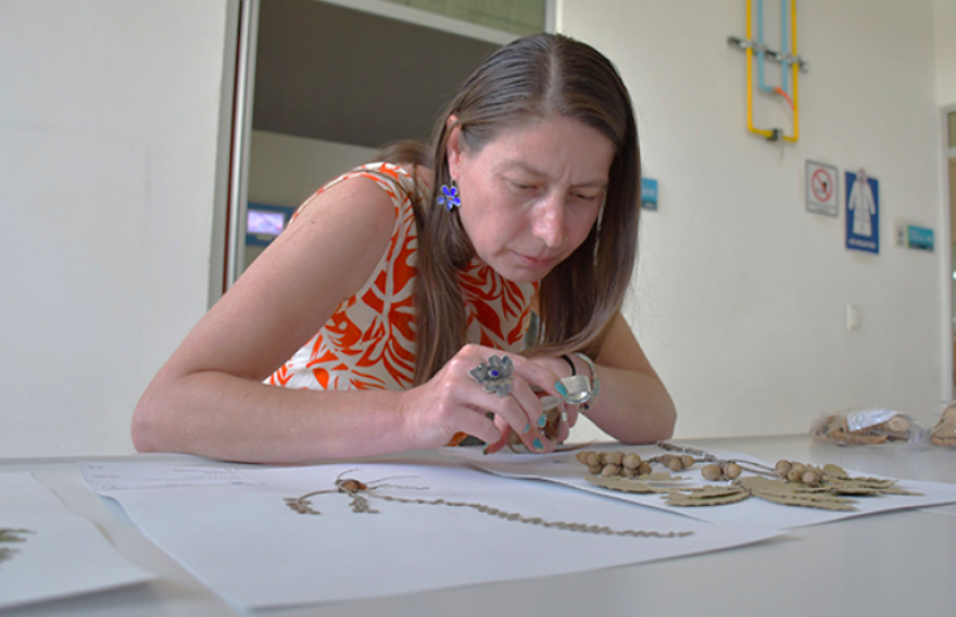 Investigadora BUAP asume presidencia de la Sociedad Botánica de México