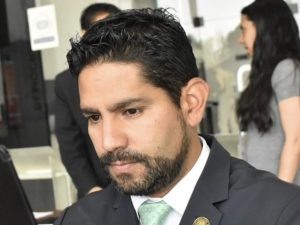 PVEM va por reserva que impida aplicación automática de Ley Monreal por “intervención extranjera”