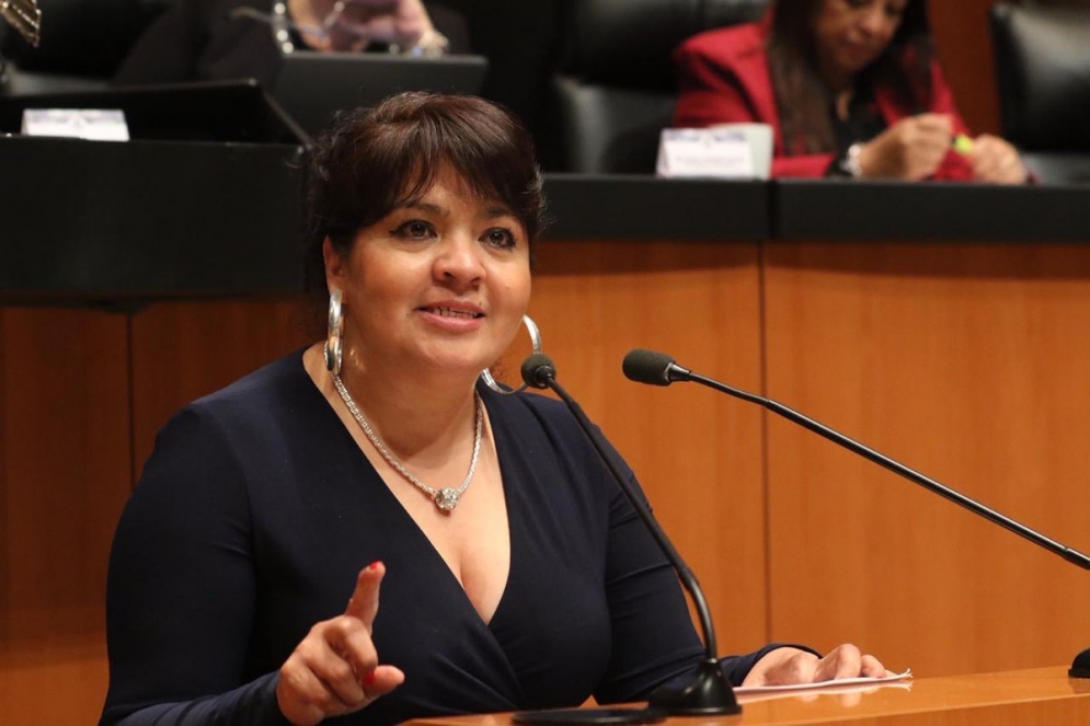 Nestora Salgado, senadora por Morena