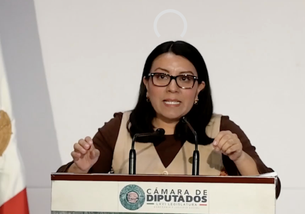 Diputada del PT admite retrocesos presupuestario para indígenas en el país
