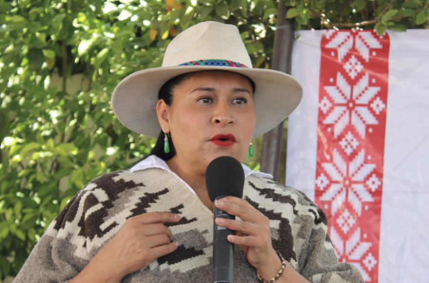 Senadora de Morena arremete contra el Poder Judicial: “estaban en contra de la transformación del país”, dice