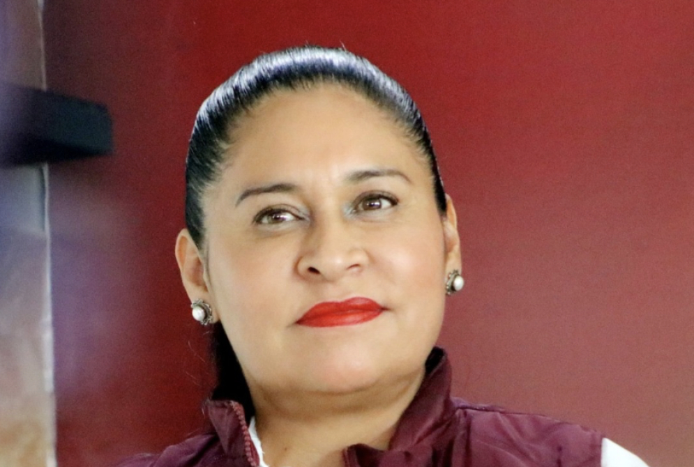 Senadora de la 4T pide a morena tener “reserva moral” para no permitir ingreso de políticos del “viejo régimen”