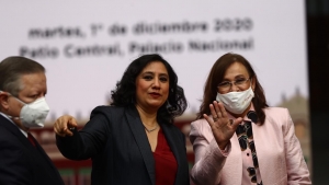 Irma Sandoval y Rocío Nahle