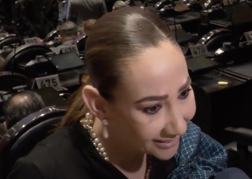 PAN exhibe que Morena redujo en 8% el presupuesto en salud, educación y la atención de la violencia contra las mujeres