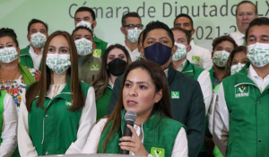 Partido Verde en la Cámara de Diputados