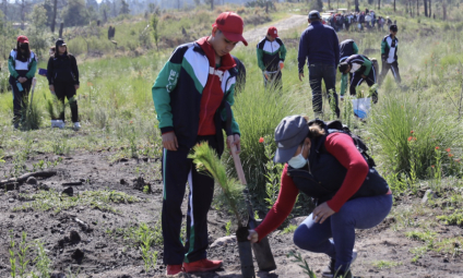 Realizan reforestación en la Malinche con más de 2 mil 100 especies plantadas