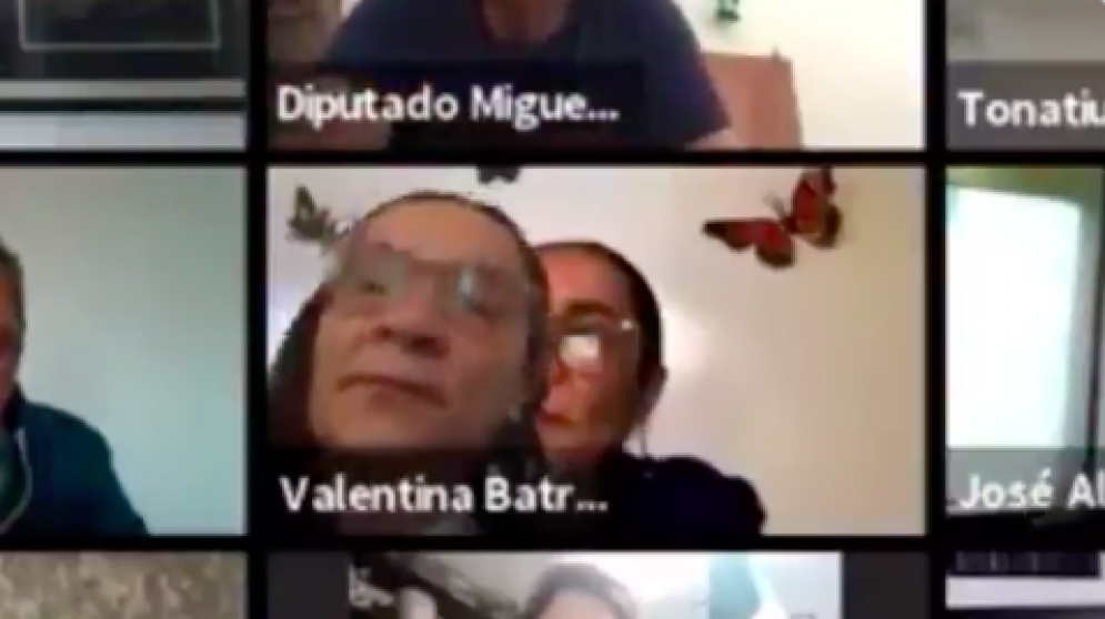 Diputada de Morena congela imagen en reunión de Zoom para escapar