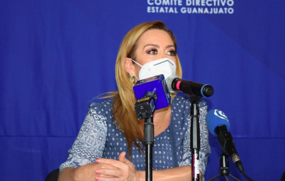 Médicos merecen aplausos pero necesitan más recursos y material para trabajar: Senadora del PAN a AMLO