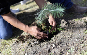 La BUAP impulsa acciones para ser un campus neutro en carbono