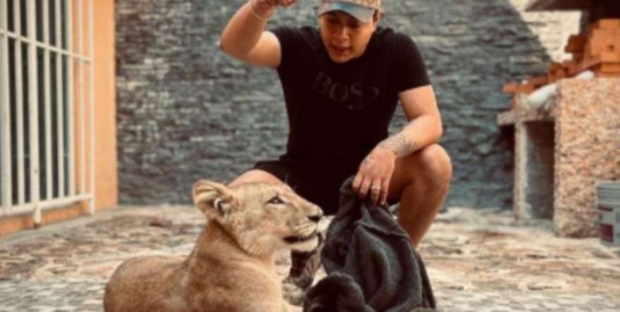 Hijo de alcalde morenista presume ser dueño de cachorro de león