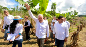 Gobierno de México entregará 6 MDD en becas a Cuba para el programa Sembrando Vida