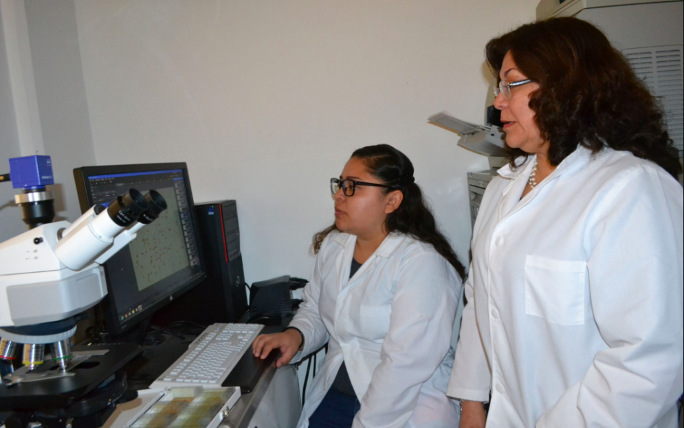 En el Día Internacional de la Mujer y la Niña en la Ciencia tendrán lugar el 2do Coloquio de Científicas BUAP y la Feria Académica de Científicas