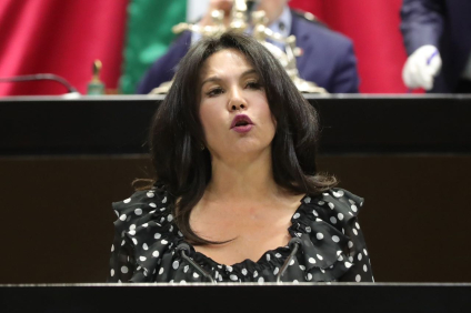 Exhibe Teresa Castell misoginia económica de Morenistas
