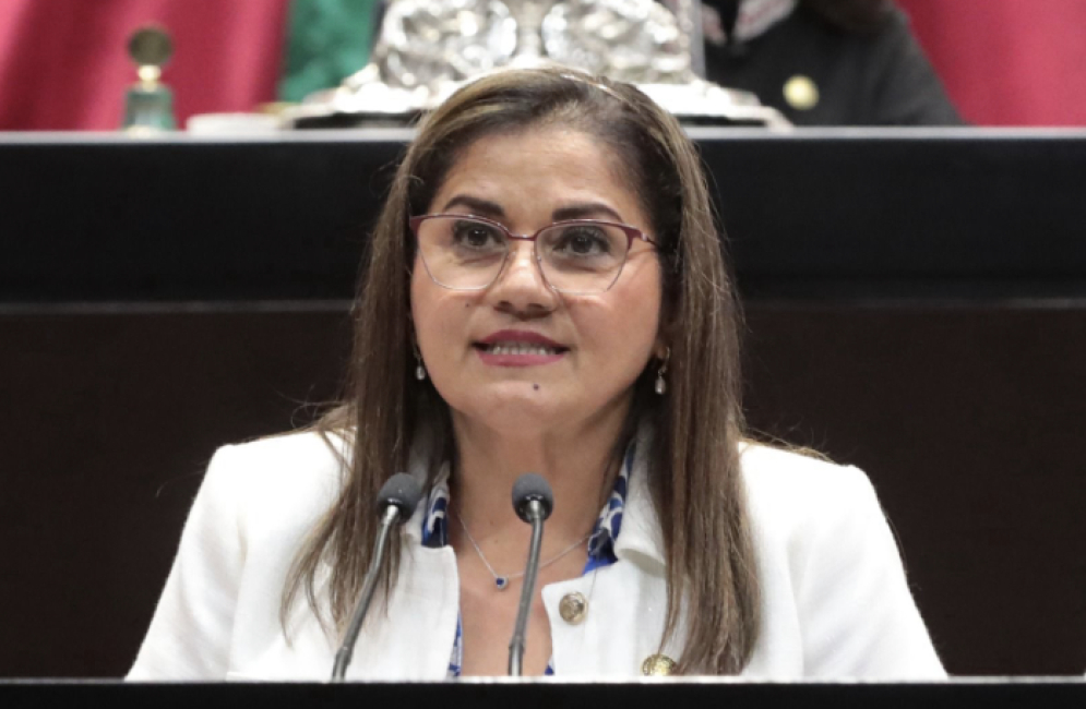 PAN impulsa iniciativa para que gobierno pague tratamientos oncológicos privados ante desabasto de medicinas en hospitales públicos