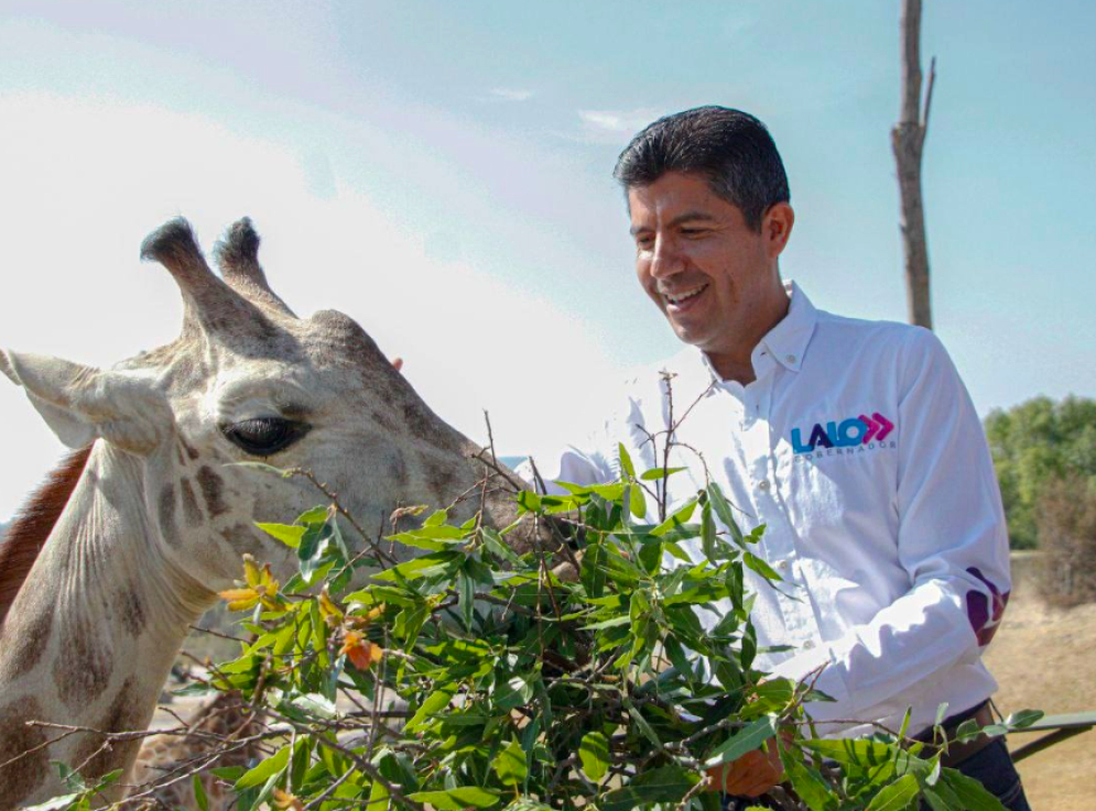 Seré un gobernador que priorice el bienestar animal: Eduardo Rivera