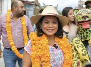 Mojica pide licencia al Senado para buscar la candidatura de la 4T al estado de Guerrero