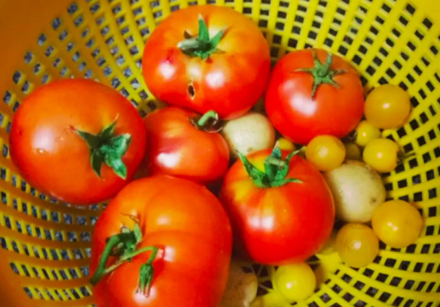 Inflación imparable; precios de los alimentos se disparan 14%