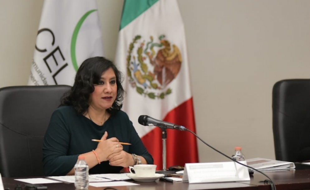 Irma Sandoval, secretaria de la Función Pública