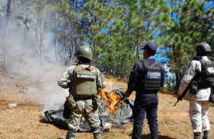 Militares son más letales que las policías: Data Cívica e Intersecta