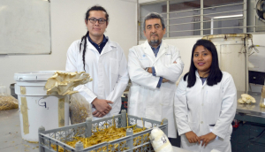 BUAP ofrecerá Maestría en Tecnologías Agrícolas Limpias