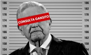 Consulta Gansito