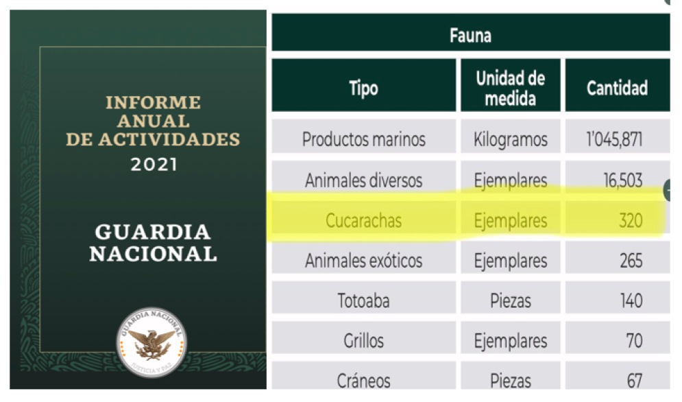 Guardia Nacional presume decomiso de cucarachas y grillos