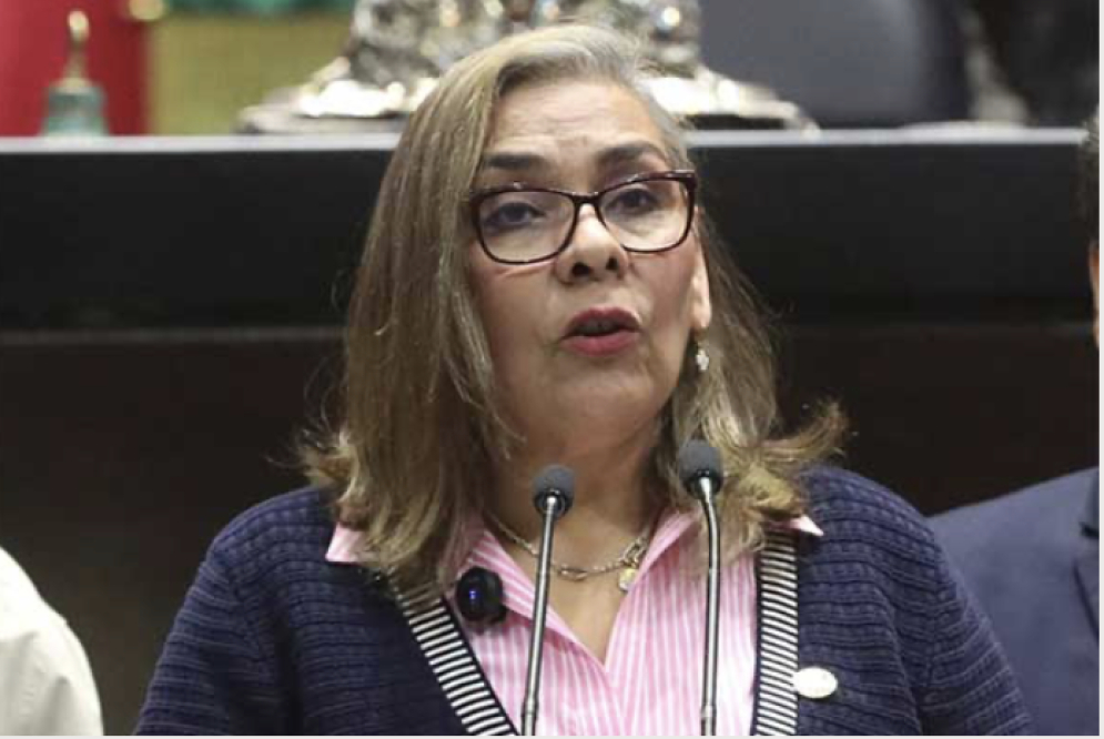 PT plantea que quien cometa tentativa de feminicidio pierda la patria potestad de menores