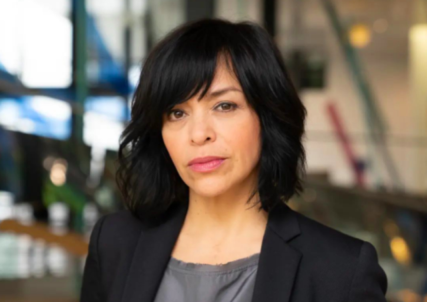 AMLO está “fusilando virtualmente a los periodistas”: Anabel Hernández