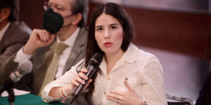 PVEM expulsa de sus filas a diputada que votó en contra de la Reforma Eléctrica