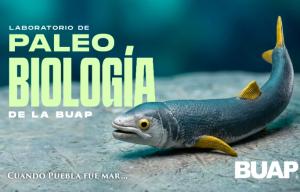 Laboratorio de Paleobiología de la BUAP, evidencia de vida del pasado para interpretar el presente y vislumbrar un futuro