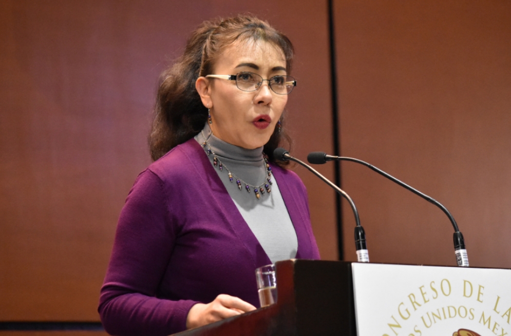 María Guadalupe Edith Castañeda