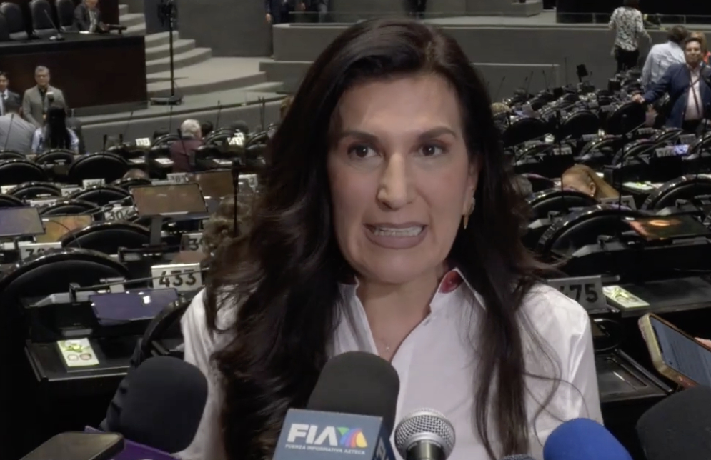 PAN llama que nuevos consejeros del INE no estén salpicados de desconfianza o dudas por afinidades al régimen