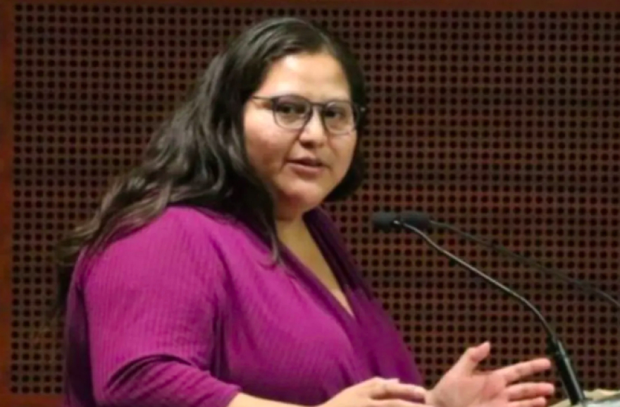 Acusa Citlalli Hernández a Movimiento Ciudadano por “reciclar políticos”